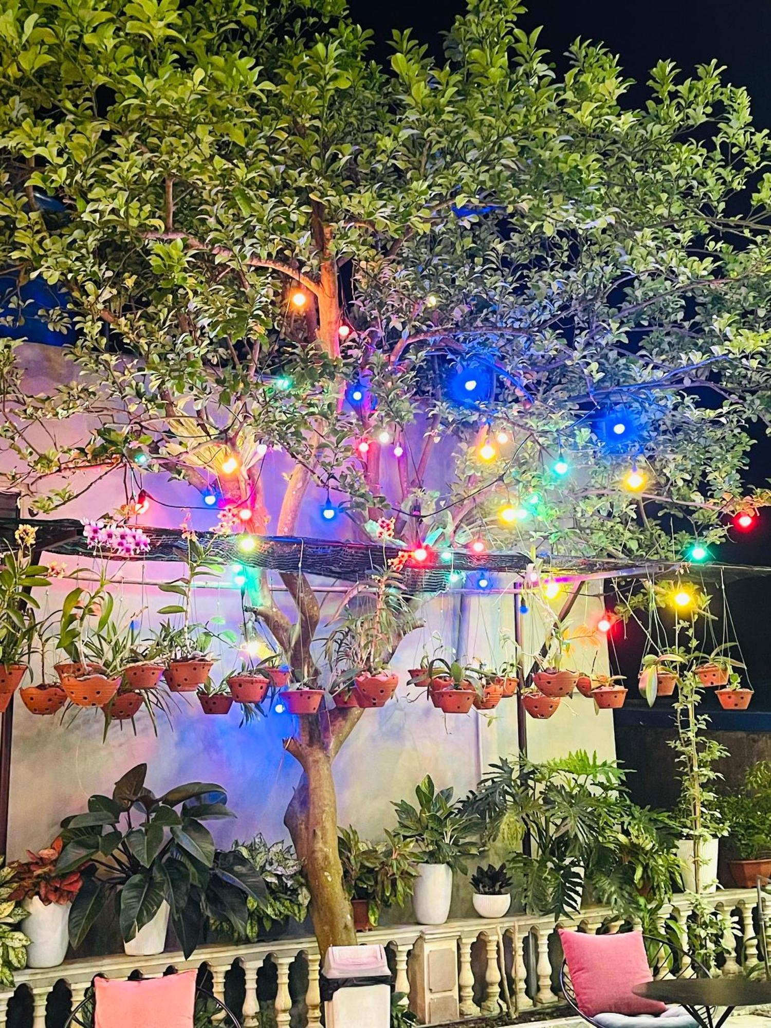 Lynh'S Villa Dong Khe Sau Luaran gambar